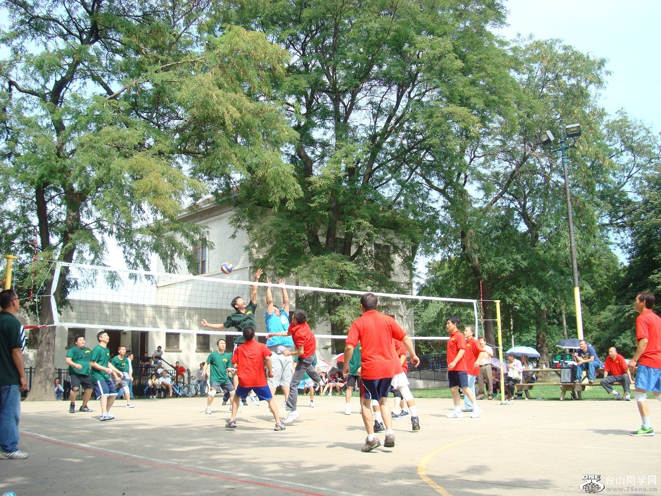 2632.jpg