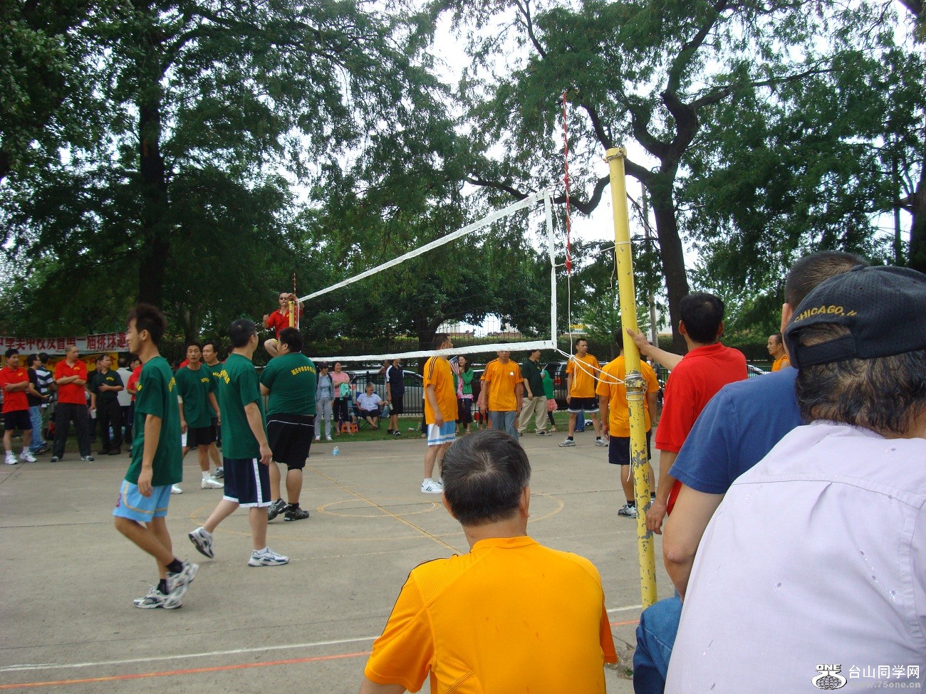 2519.jpg