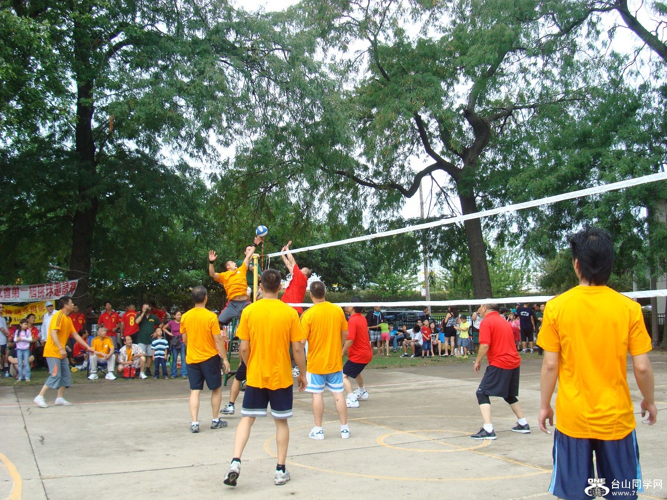 2591.jpg