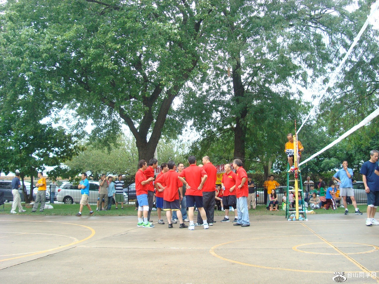 2554.jpg