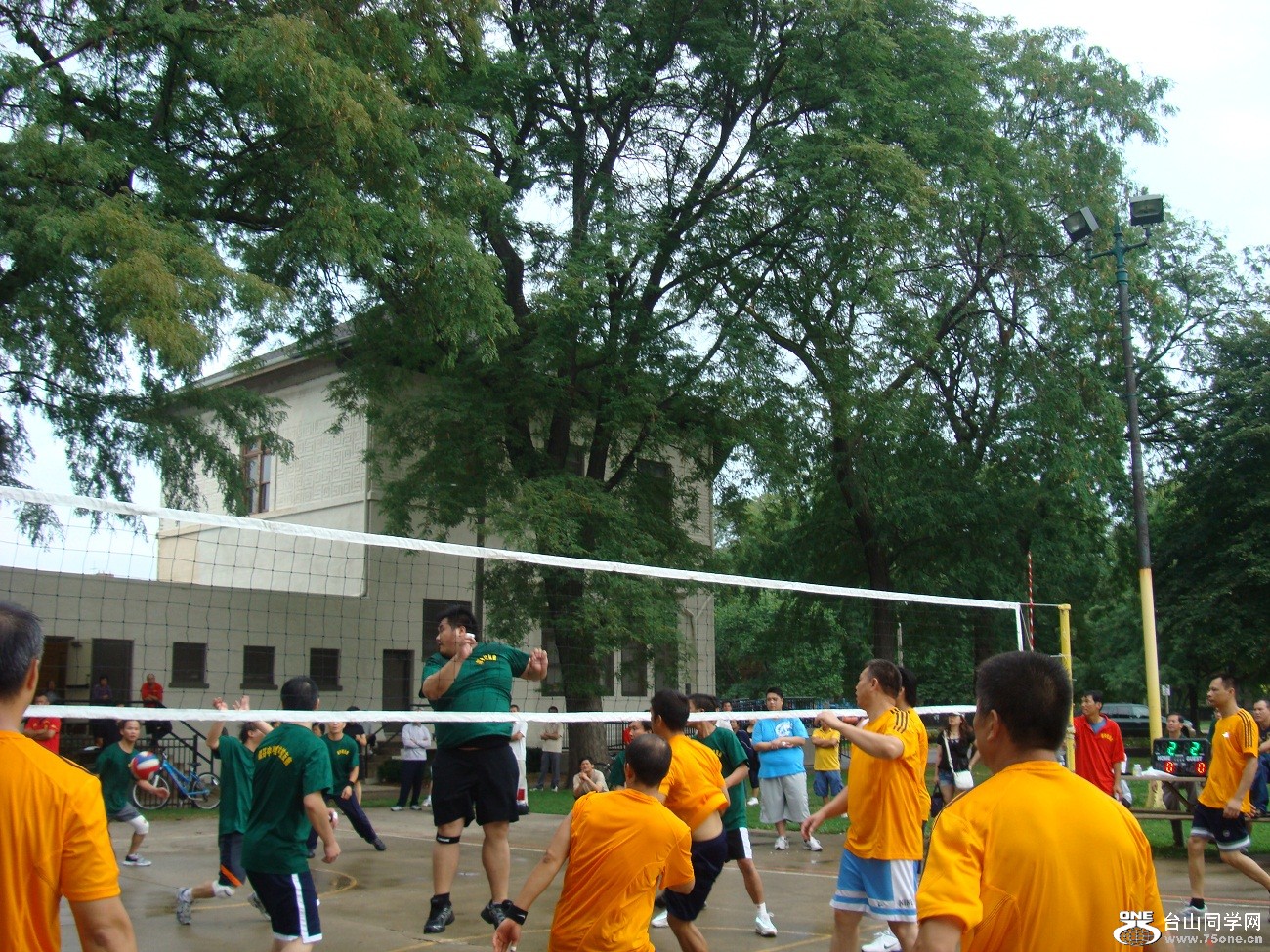2531.jpg