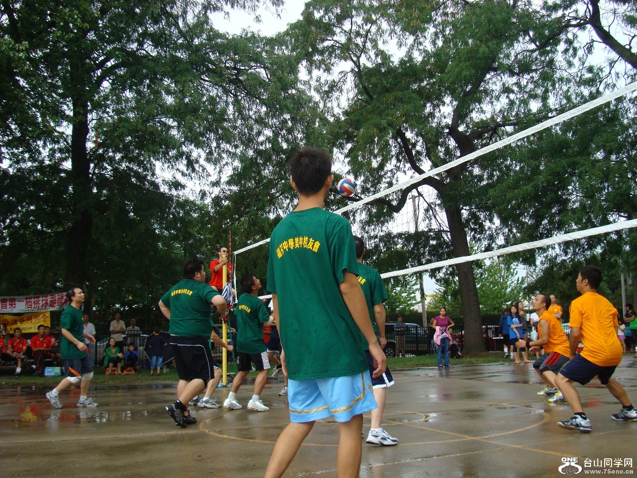 2528.jpg