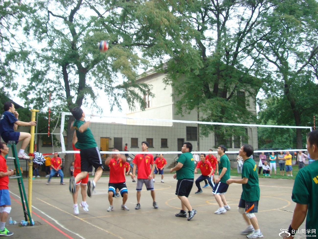 2571.jpg