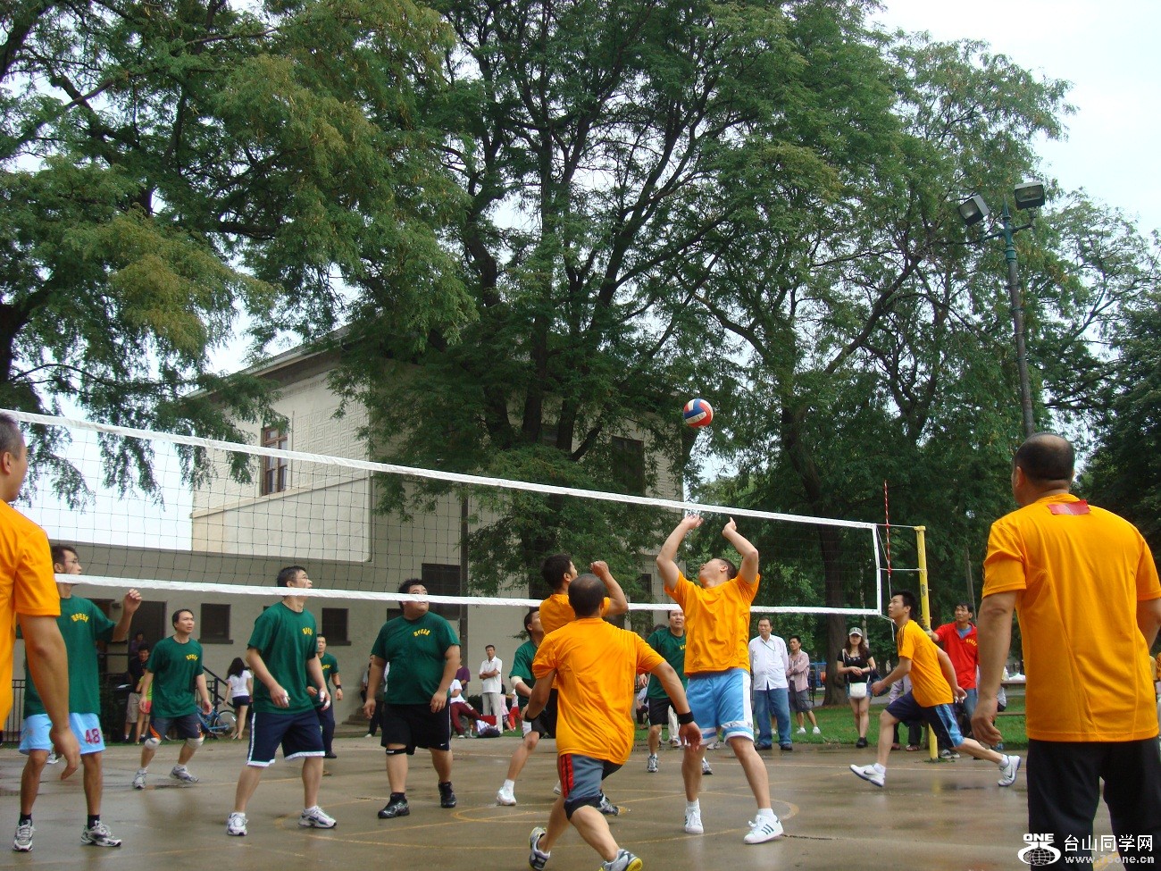 2532.jpg