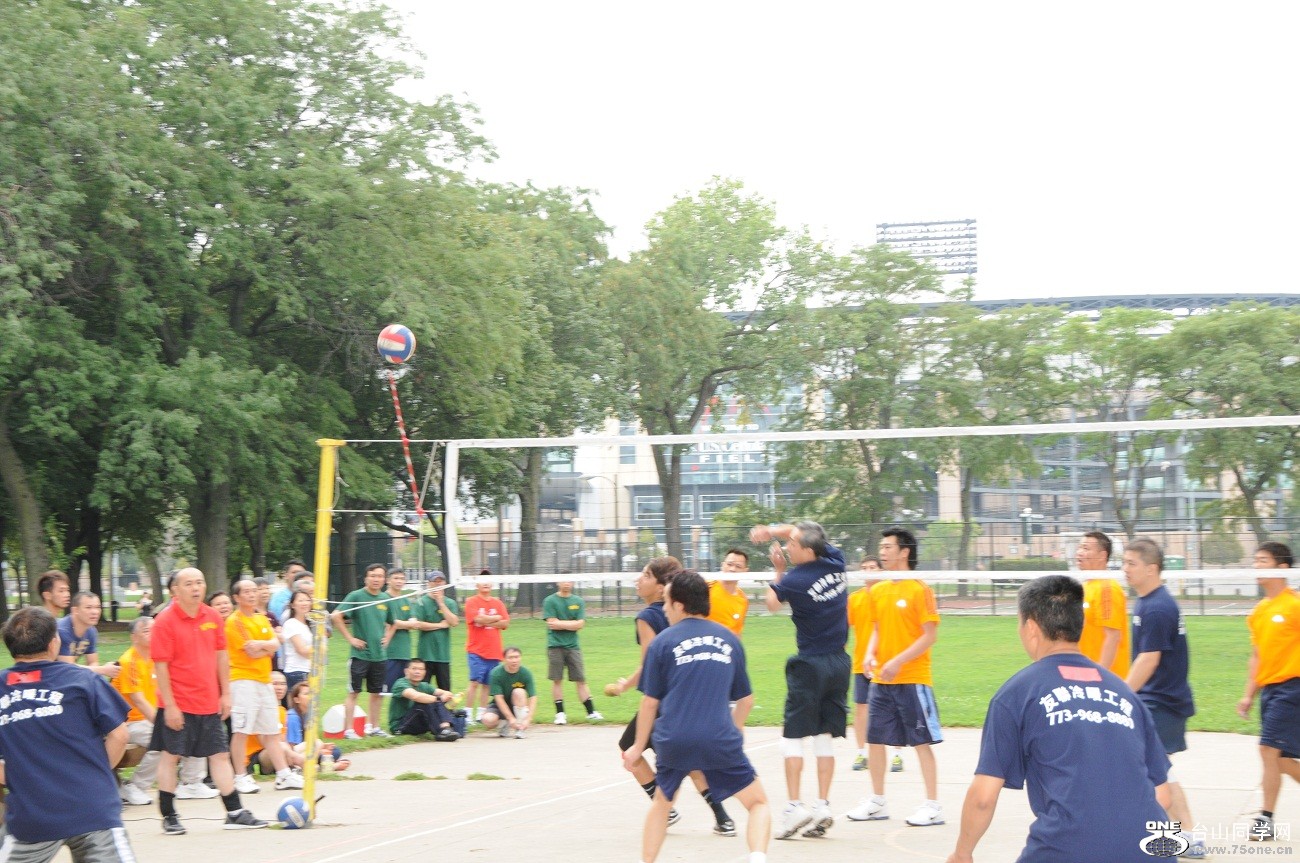 6585.jpg