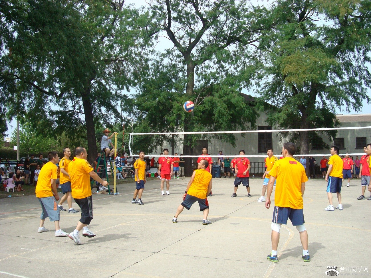 2620.jpg