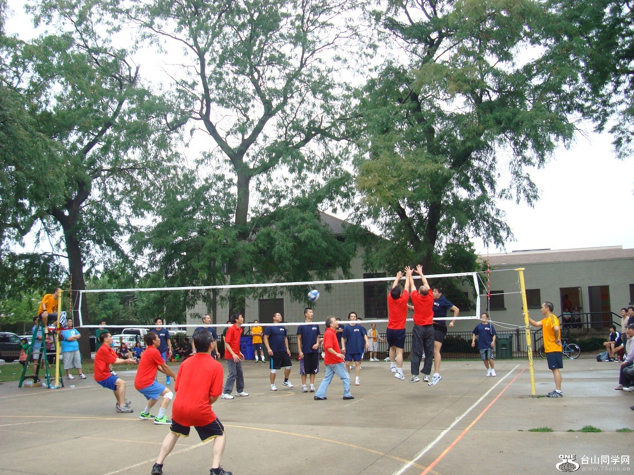 2551.jpg