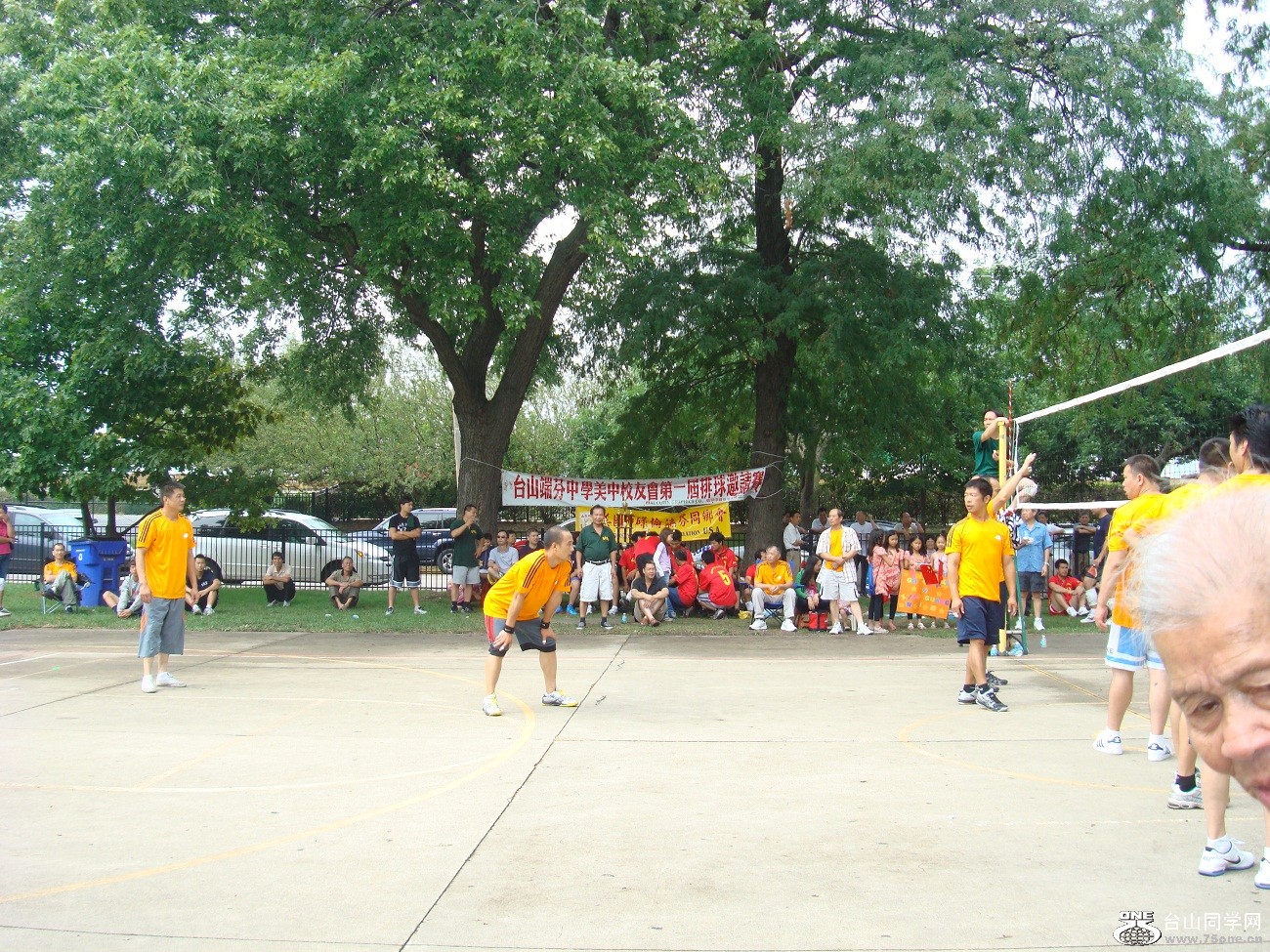 2596.jpg