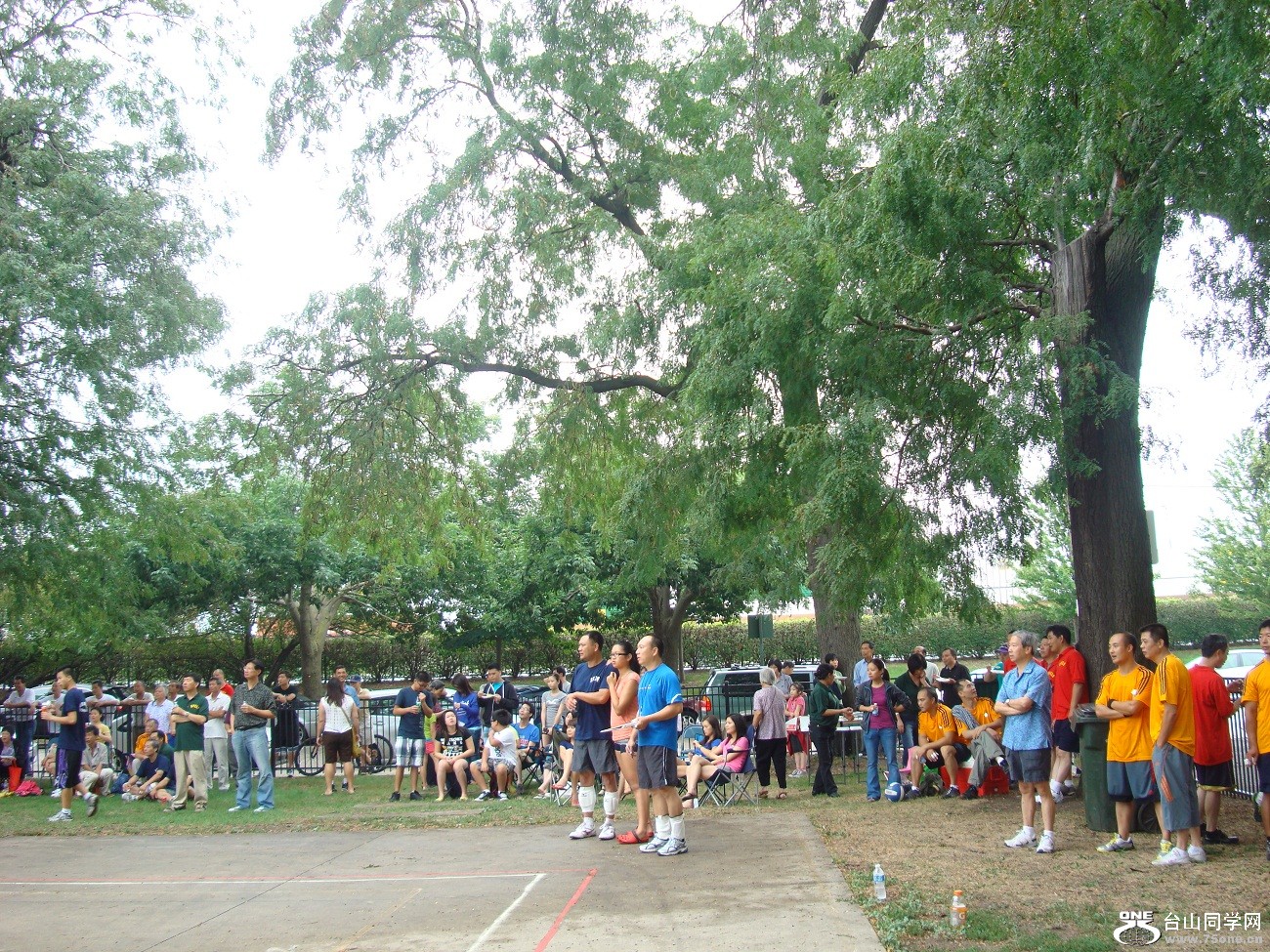 2585.jpg