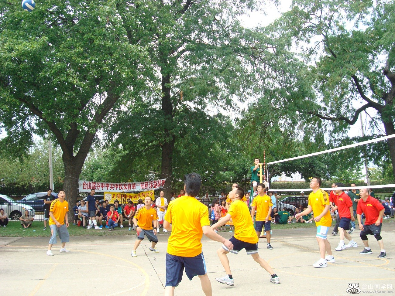 2600.jpg