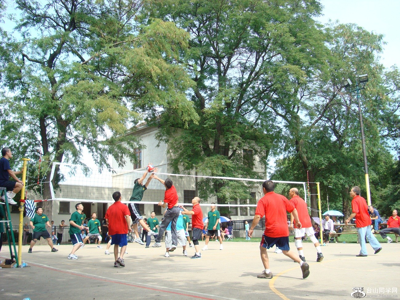 2629.jpg