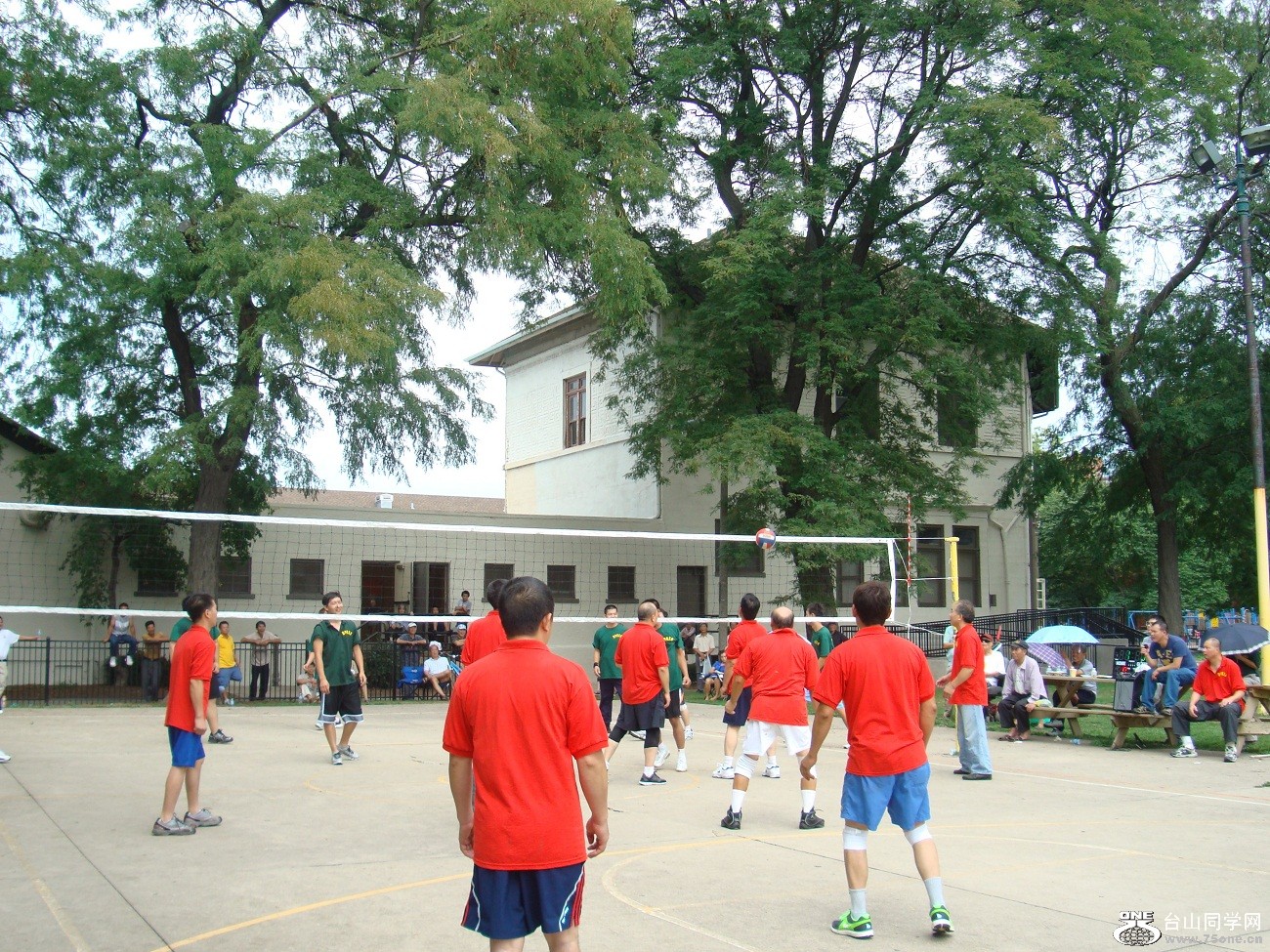 2624.jpg