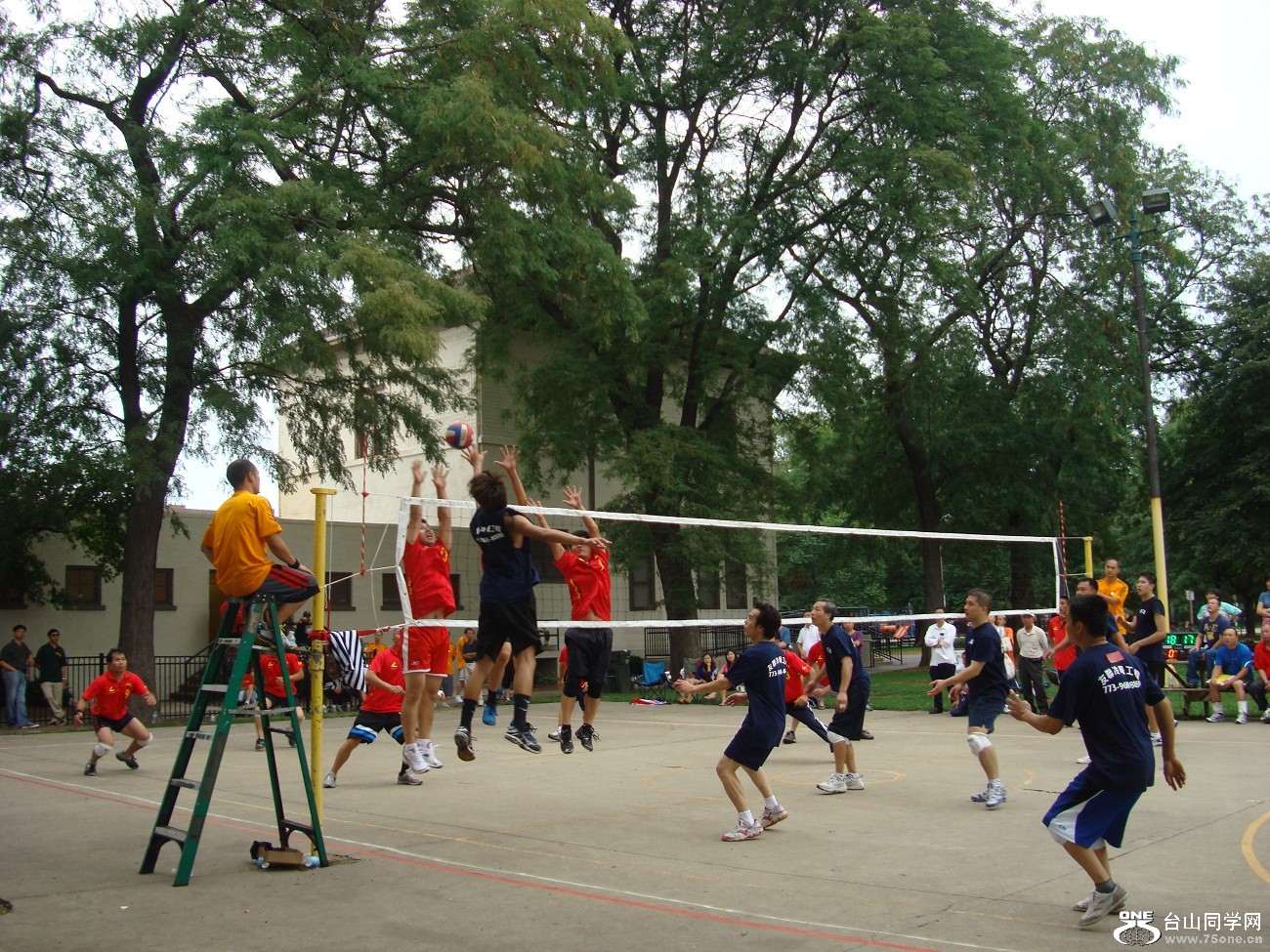 2724.jpg