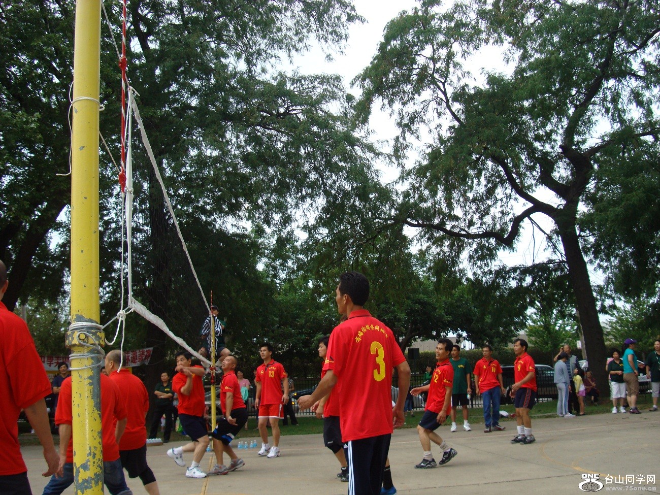 2503.jpg