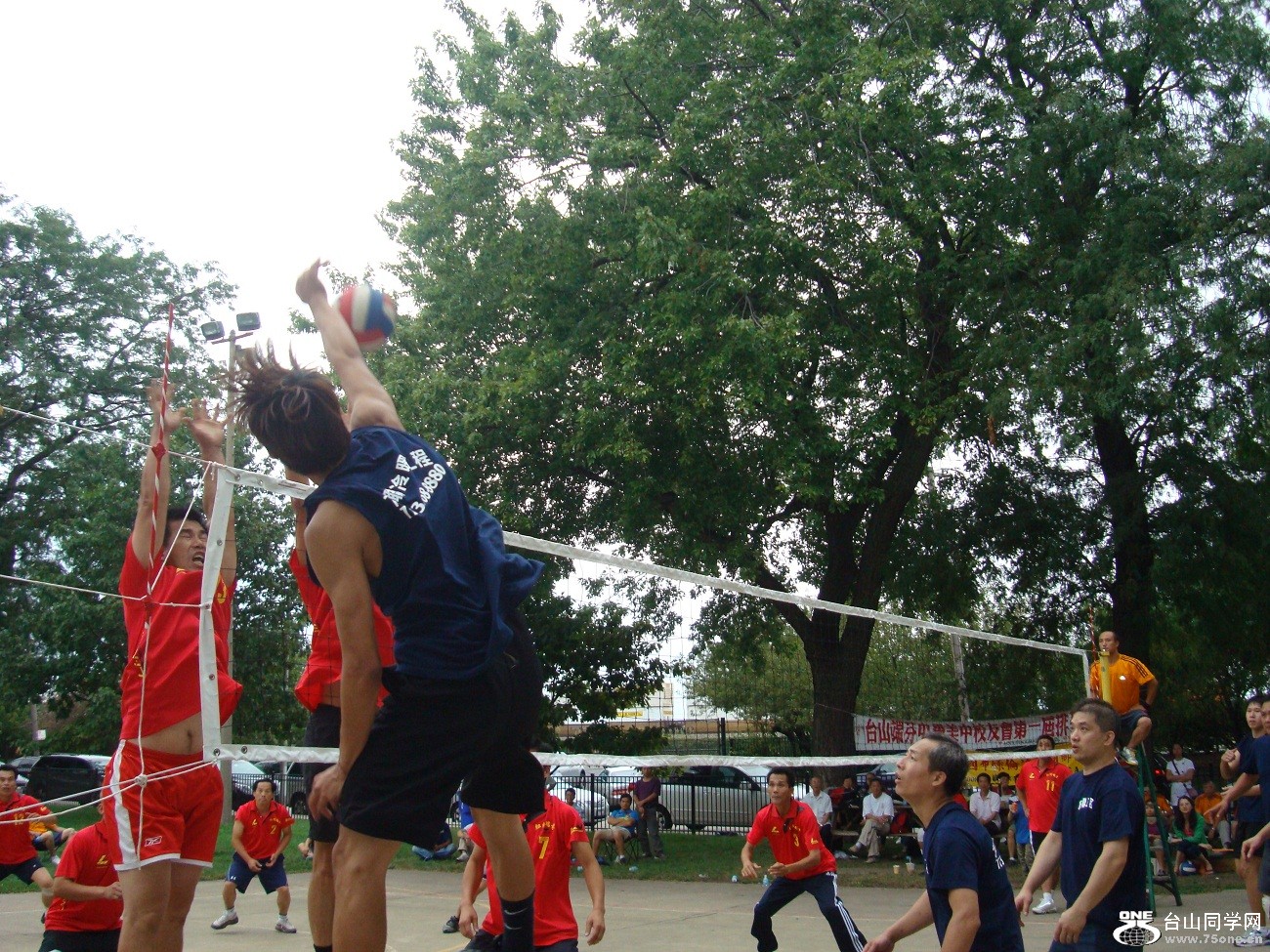 2705.jpg