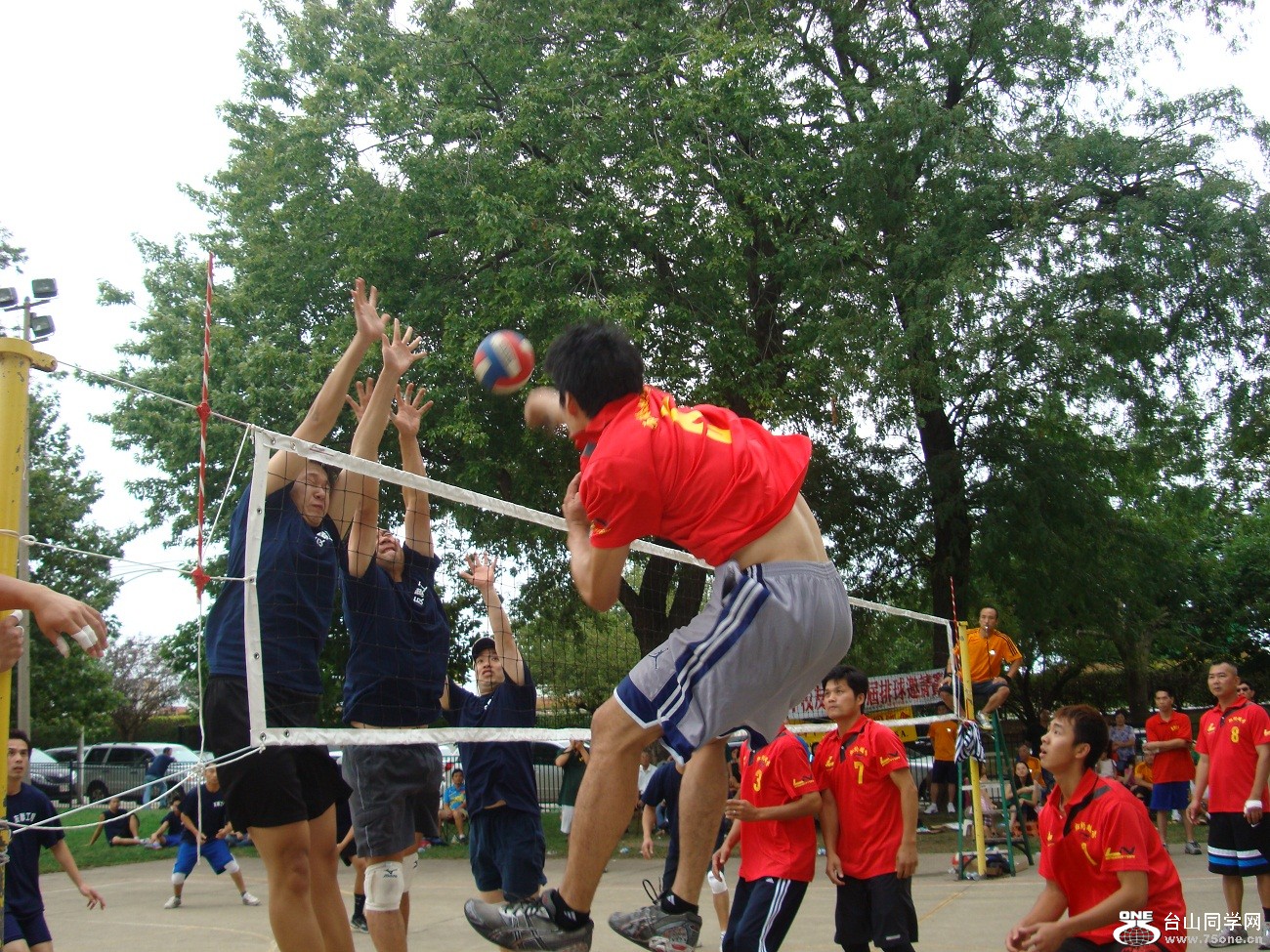 2676.jpg