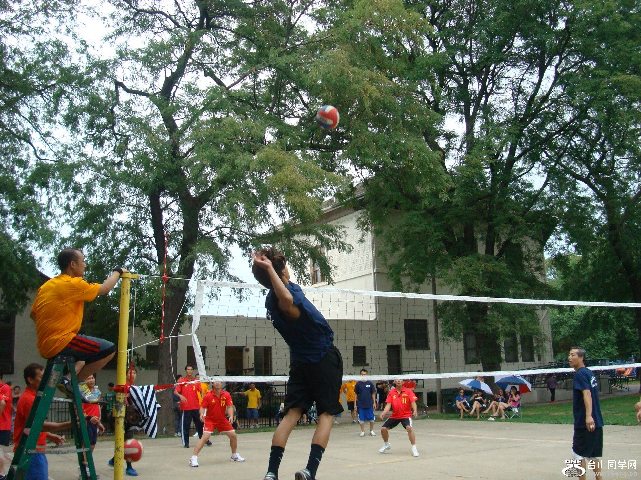 2672.jpg