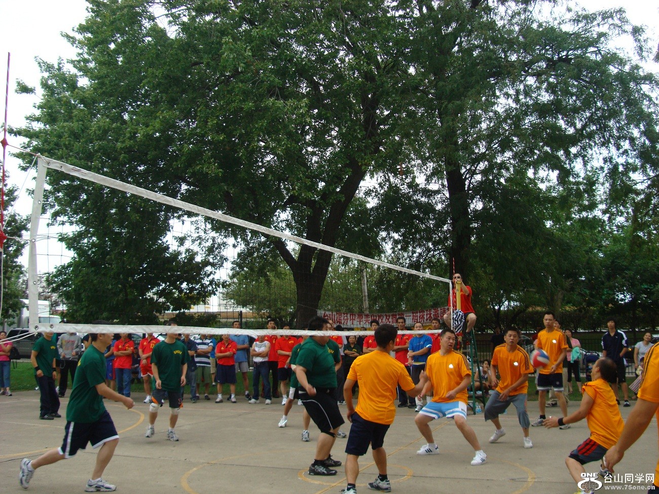 2517.jpg