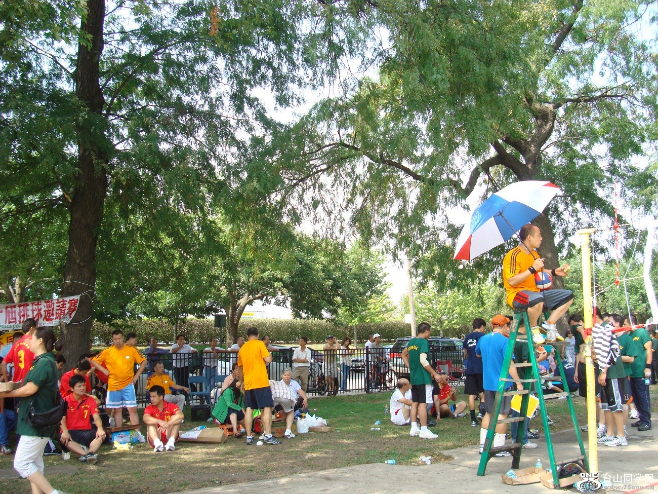 2617.jpg