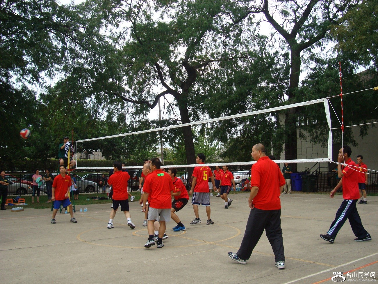 2510.jpg