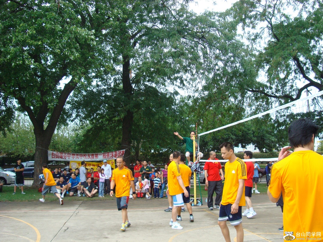 2589.jpg