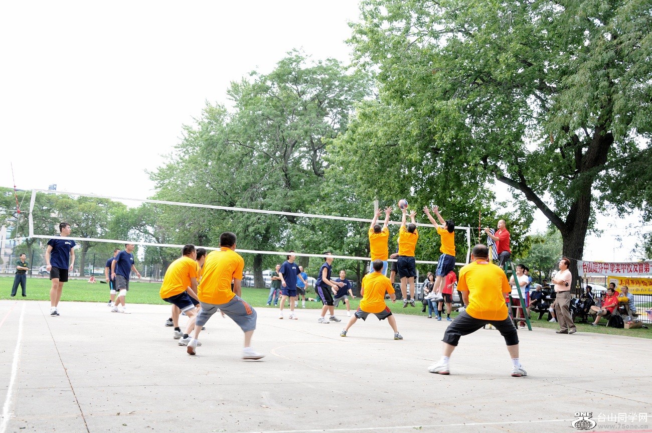 6595.jpg