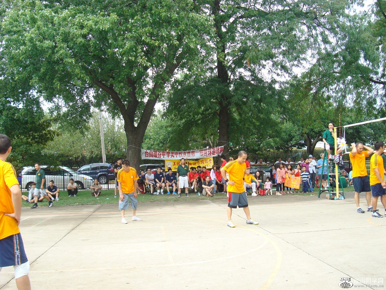 2597.jpg
