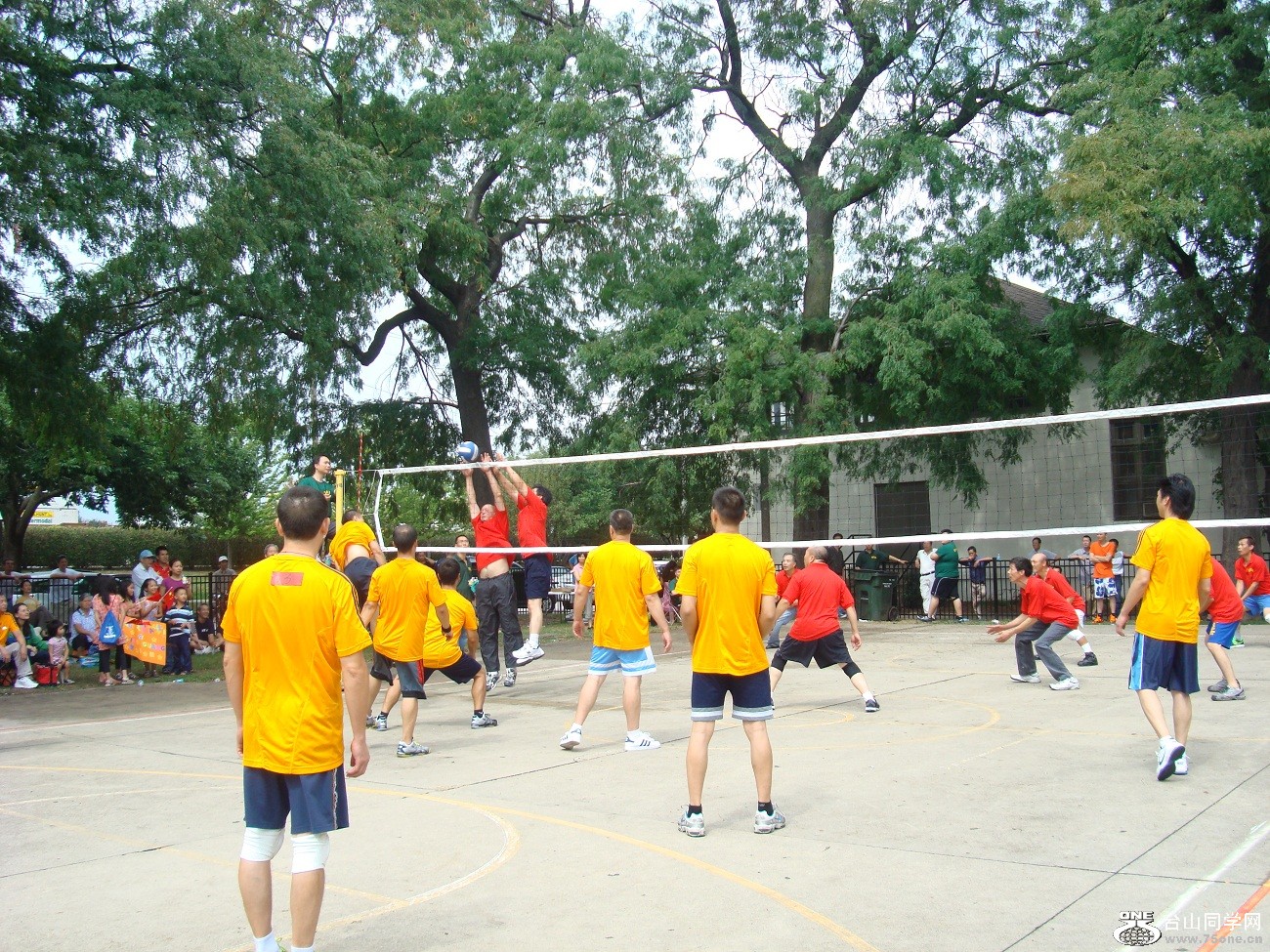 2602.jpg