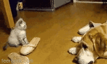 psb.gif
