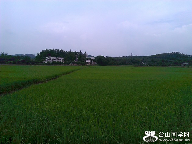 WP_000632.jpg