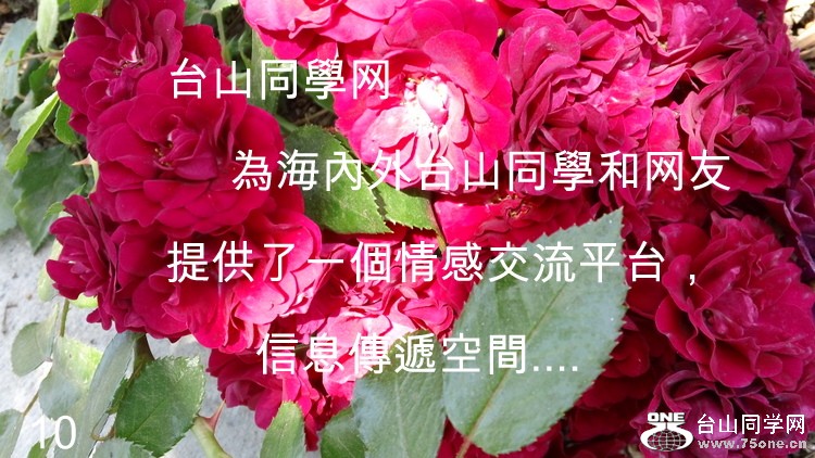 DSC00079.JPG