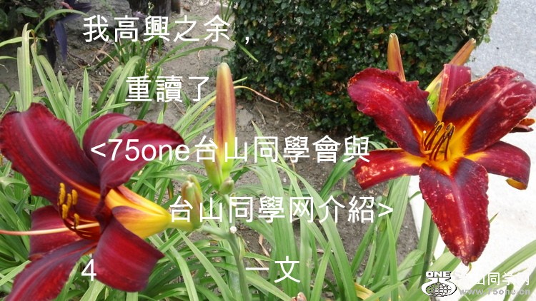 DSC00011.JPG