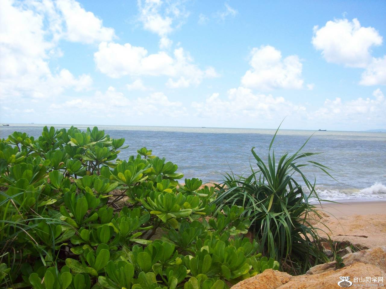 白沙湾 207.jpg