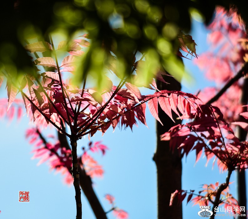 DSC_7130.jpg