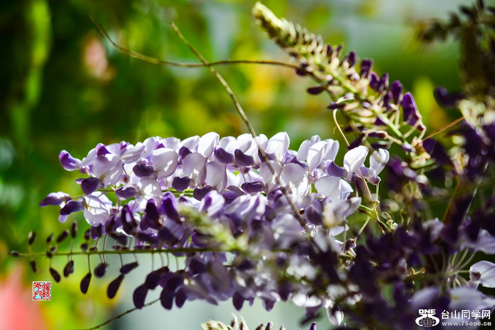 DSC_6734.jpg