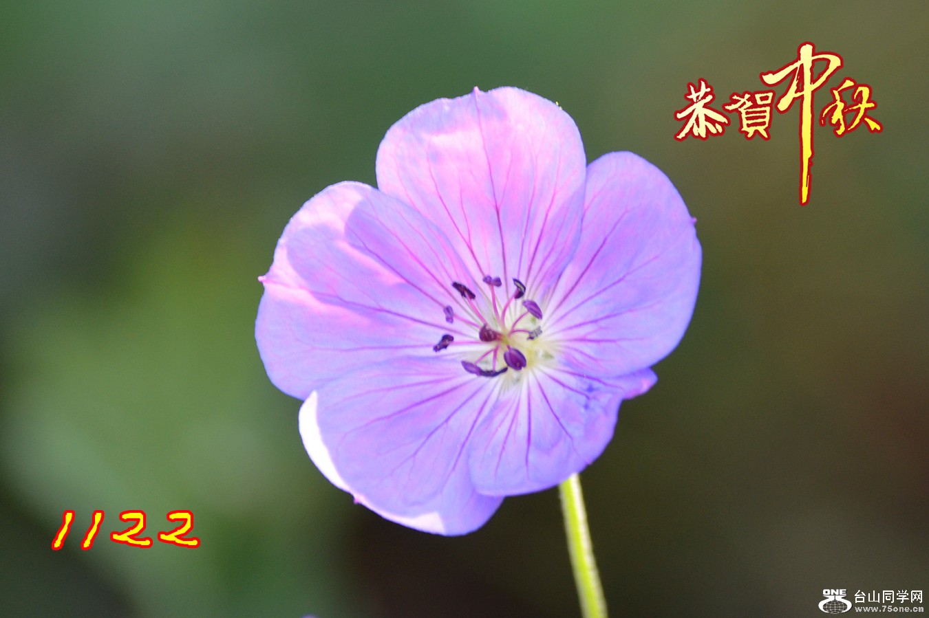 DSC_0646_23.jpg