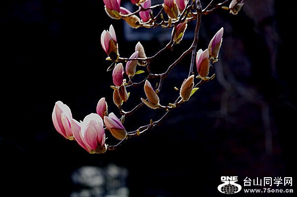 _MG_4769_����_����.jpg