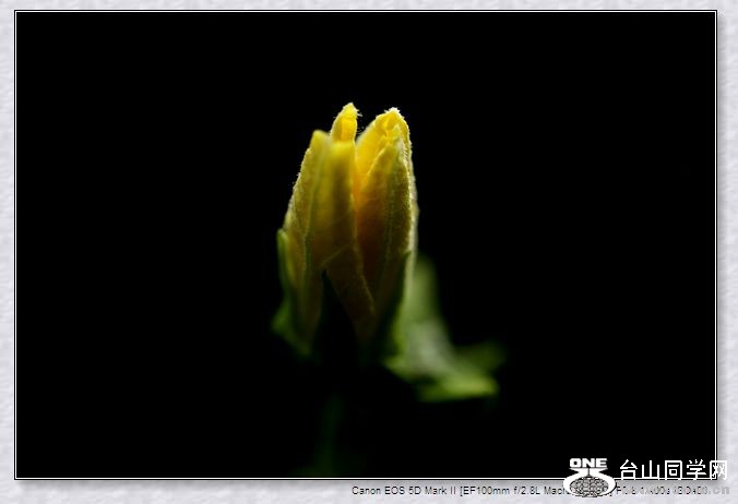 IMG_1495.jpg
