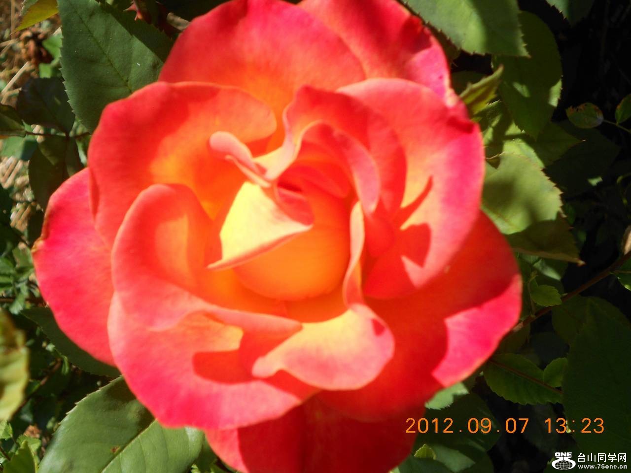 ��֮�� 015.JPG