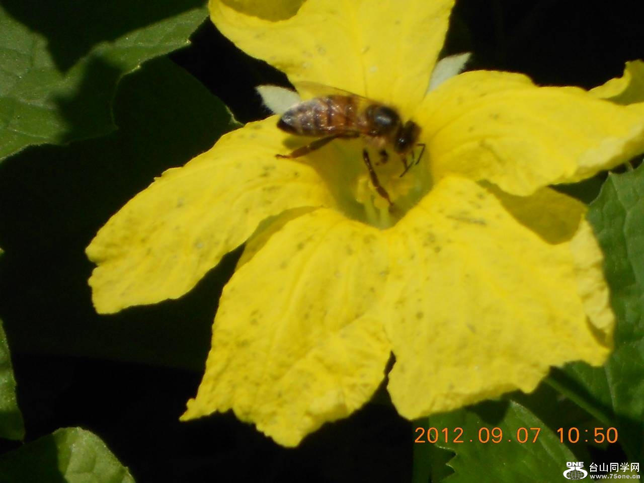 ��֮�� 006.JPG