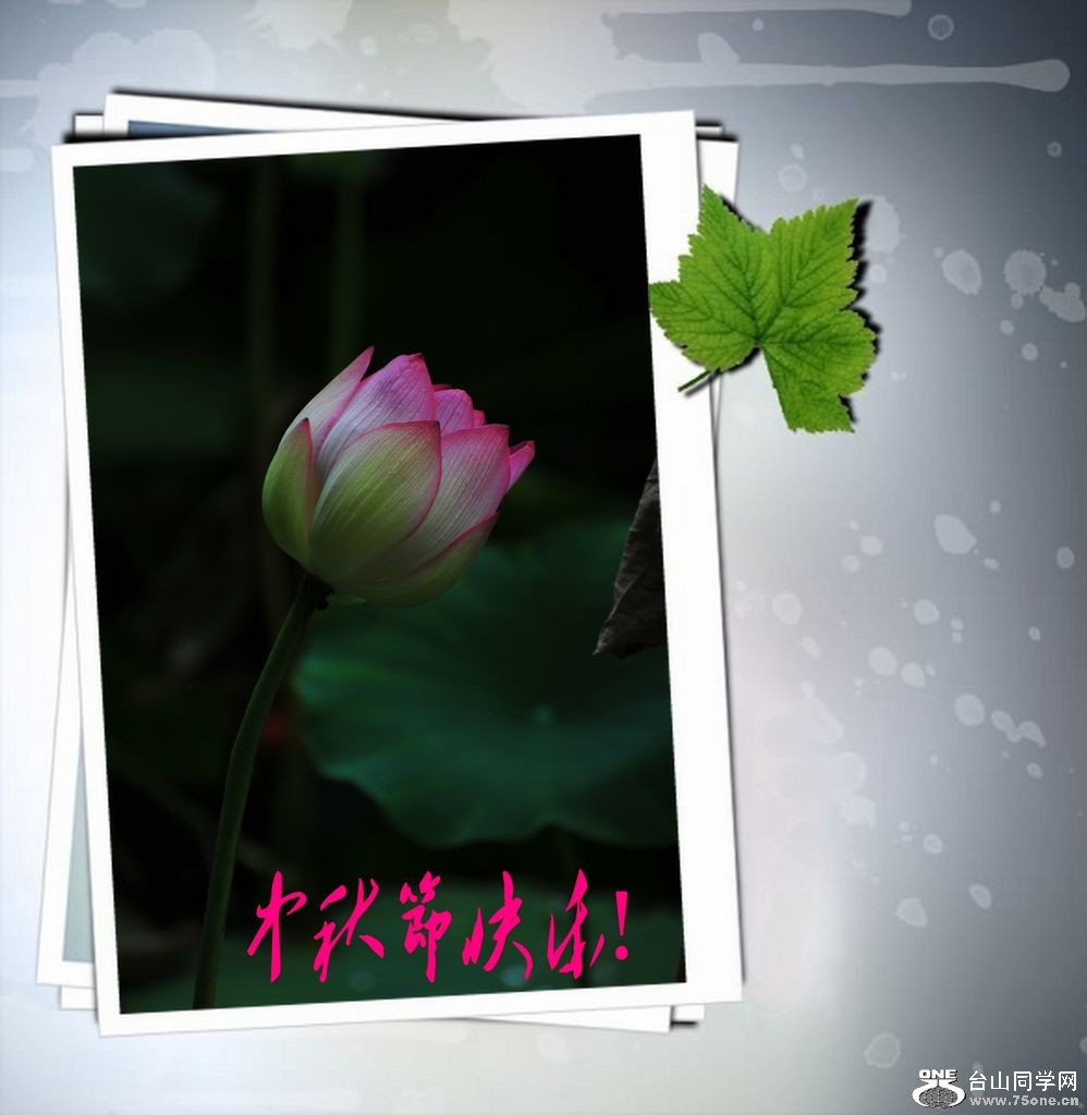 DSC_3219_conew1.jpg