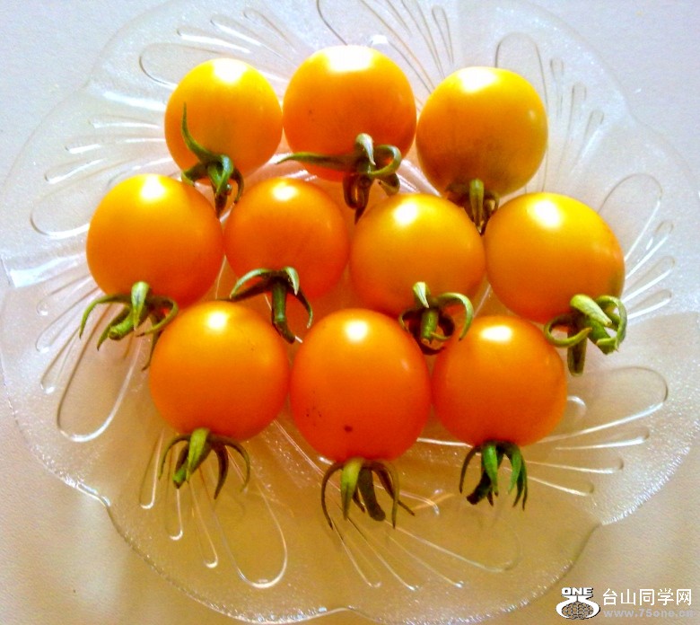 201209061237_conew1.jpg