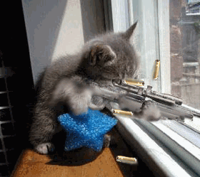 200821875421.gif