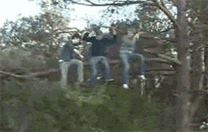0.066.gif
