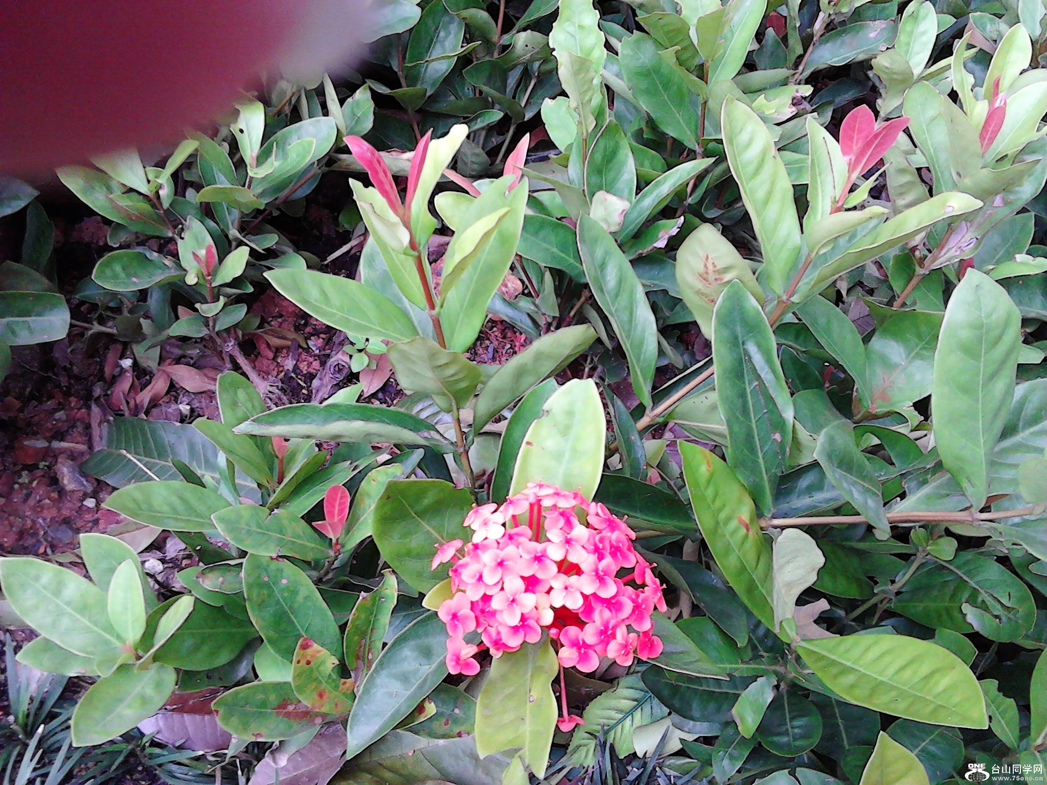 IMG_20120729_151301.jpg