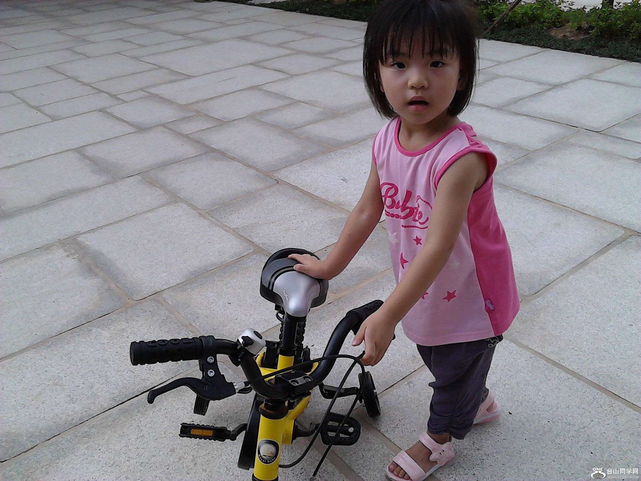 IMG_20120729_150941.jpg
