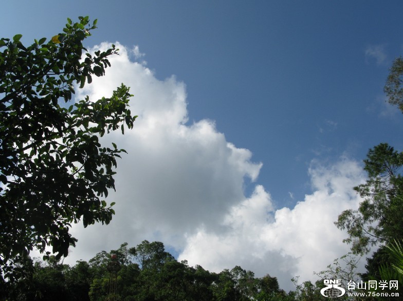 96.jpg