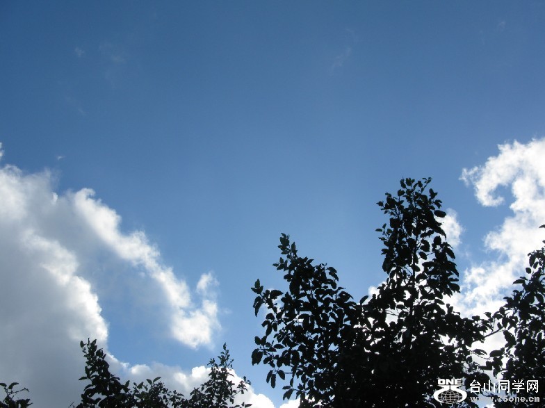 158.jpg