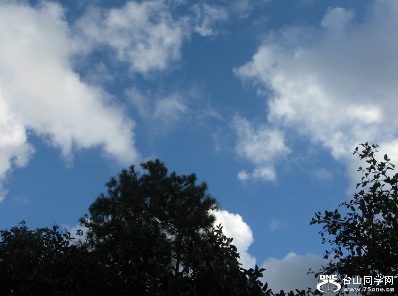 135.jpg