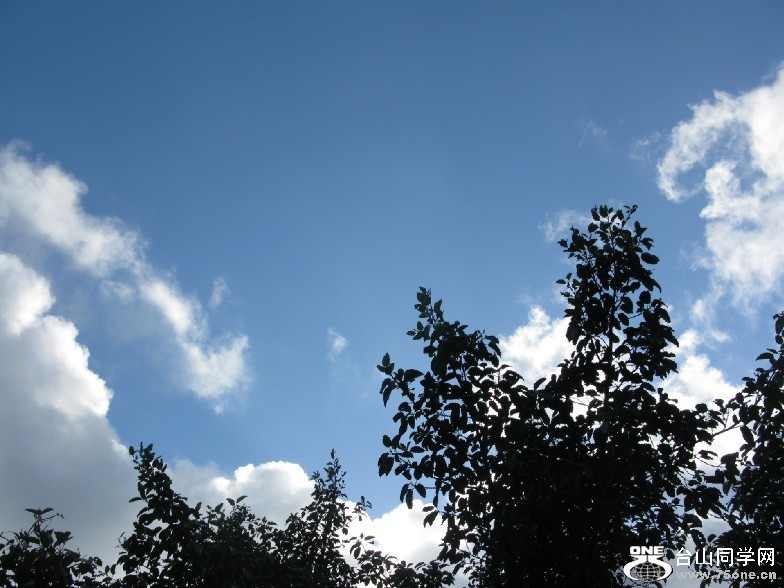 159.jpg